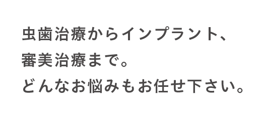 虫歯治療からインプラント、
          審美治療まで。
          どんなお悩みもお任せ下さい。